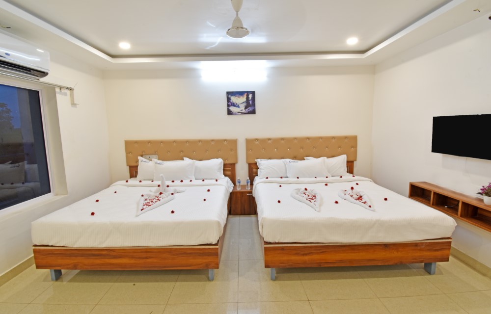 Suite Room Suite Room